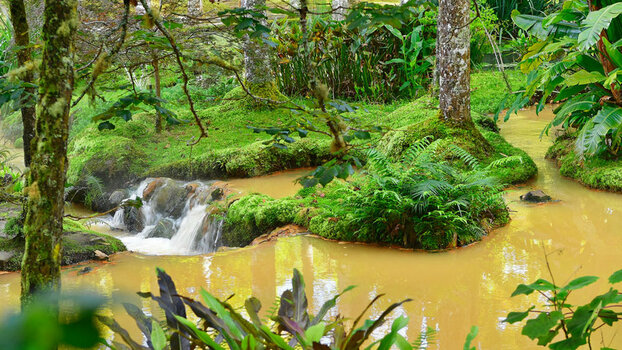 Parque Terra Nostra.jpg