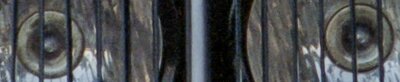 ar-384-02.jpg