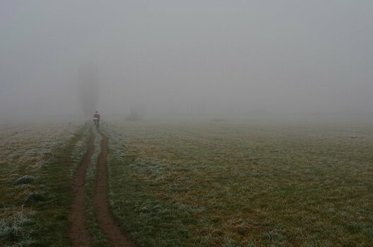 comp.IMGP085  Novembernebel 2012-Lichtentade.jpg