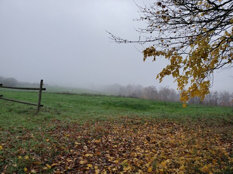 20221202_154447.jpg