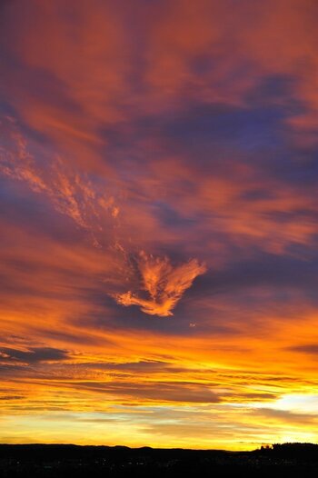 SunsFire D700 DSC_4062.jpg