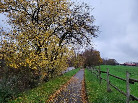 20221206_160919.jpg