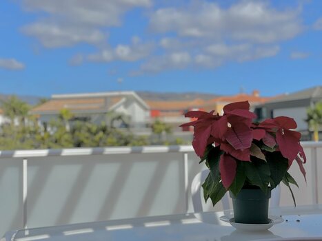 IMG_1654.jpeg