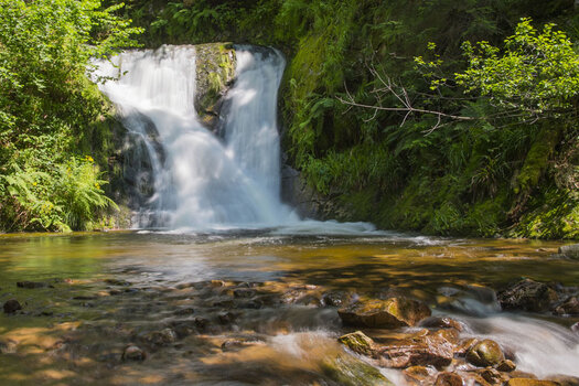 DSC_3988 z 900.jpg