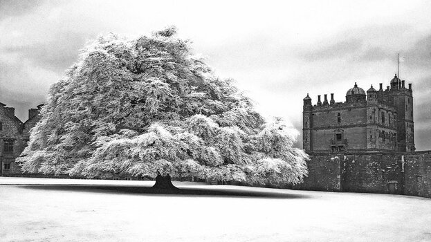 Bolsover-Castle.jpg