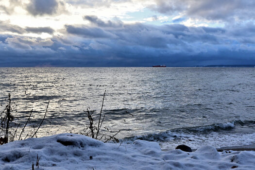 20221211_091728_nf.JPG