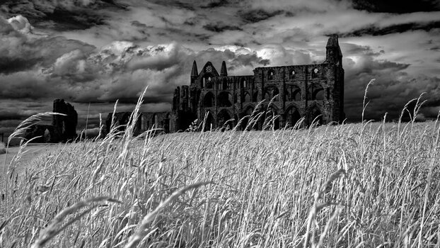 Whitby-Abbey.jpg