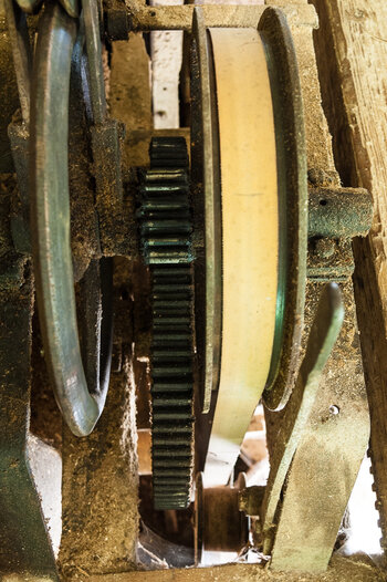 _7022799.jpg