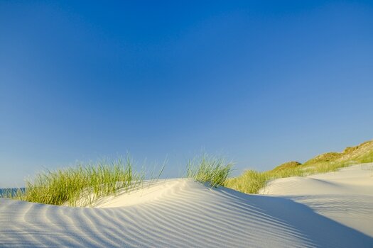 Sanddünen auf Amrum Sanddünen auf Amrum