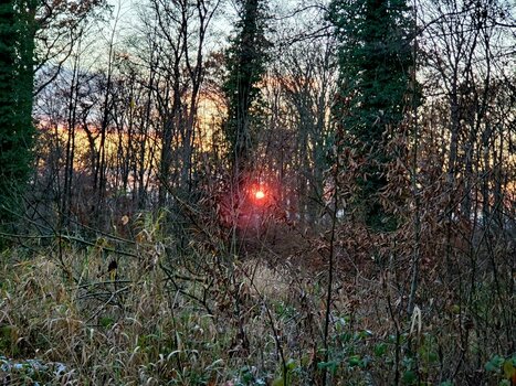 20221212_161915 (1).jpg