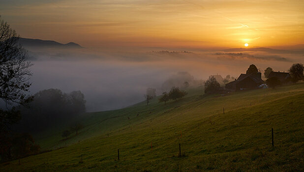 Landschaft_1_53A2502.jpg