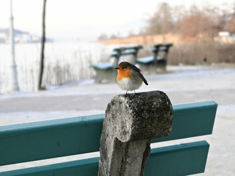DSC_0394_01.jpg DSC_0394_01.jpg