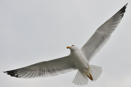 20090324_122629_Venedig.jpg