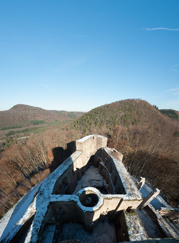 _7026236-Pano.jpg