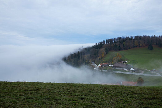 Landschaft_1_53A2715 1.jpg