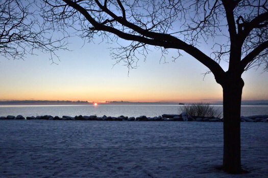 20221217_082329_nf.JPG