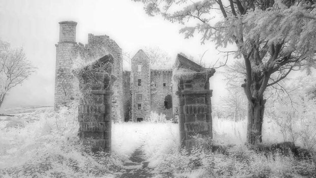 Old-Dalquharran-Castle_NF.jpg