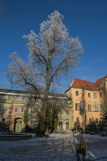 750_1226.jpg