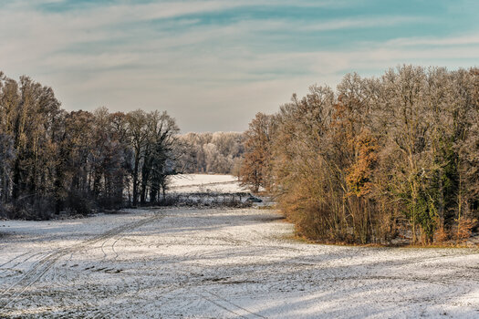 750_1280_DxO.jpg