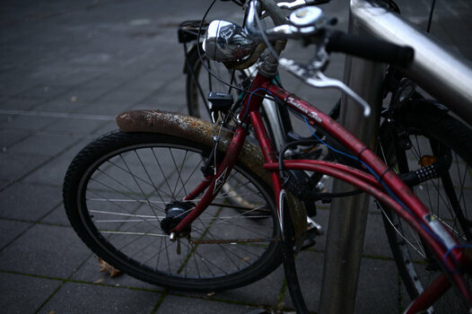 HSC_7284_0001.jpg