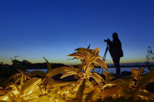 _DSC9091_DxO_DxO.jpg