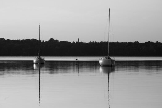 DSC_0711_0001.jpg