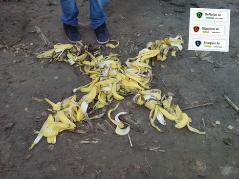 banane.jpg