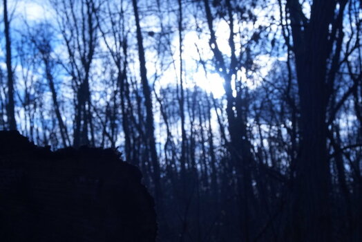 3184EFBD-9886-49AA-9D21-0F922B54B047.jpeg