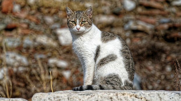 DSC_4314_DxO_DxO.jpg DSC_4314_DxO_DxO.jpg