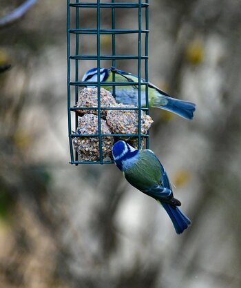 comp_DSC_3088.jpg