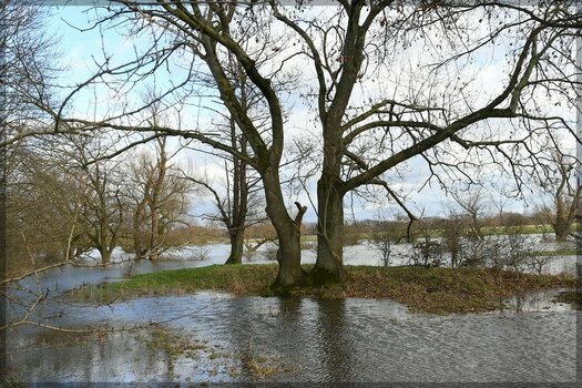 comp_Hochwasser 15.1.23b.jpg