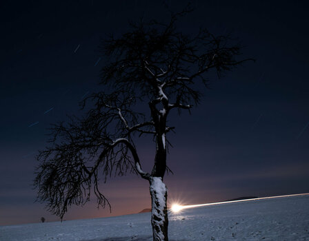 16D_0566.jpg