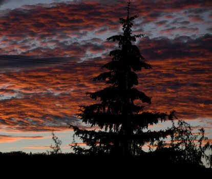 D75_22594.JPG