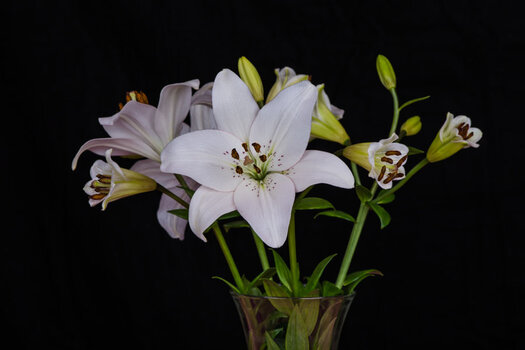 DSC_0109 900.jpg