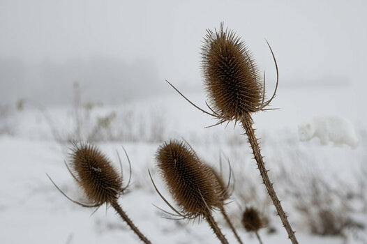 20211204123229-Bearbeitet.jpg