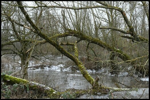 comp_Unten am Fluss 10.jpg