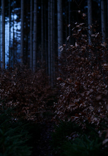 HSC_7746_0001.jpg