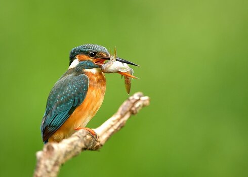 DSC_6104_2.jpg