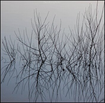 comp_D50 Baumzwerge im Wasser.jpg