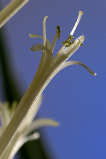 AZ7_0250.jpg