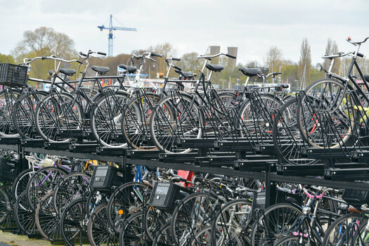 DSC_6993_DxO.jpg