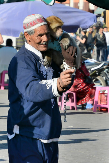 DSC_3718_DxO.jpg