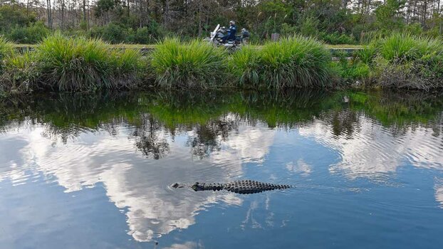 Everglades_67-NF.jpg
