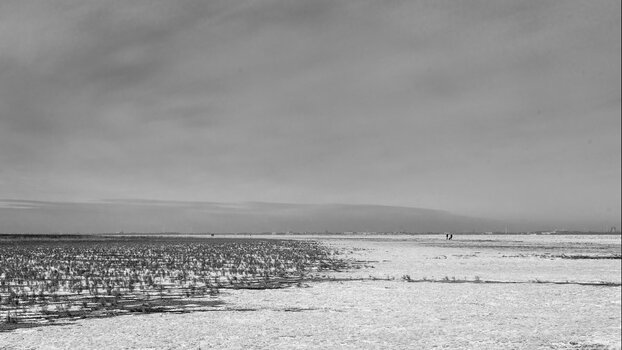 B2317E33-9D08-428B-9E2C-5811C9FC44B7.jpeg