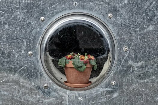 _DSC5517_DxO.jpg