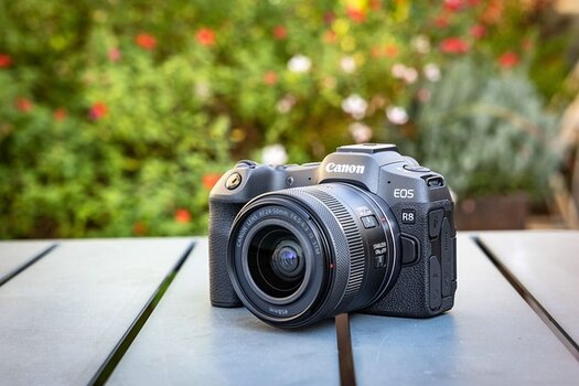 Canon EOS R8 mit RF 24-50mm F4.5-6.3 IS STM auf einem Tisch, im Hintergrund blühende Gartenblumen