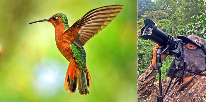 links: farbenprächtiger Kolibri vor grünem Hintergrund. Rechts:  Alvaro fotografiert mit Kamera auf Steadify in der Wildnis von El Salvador.