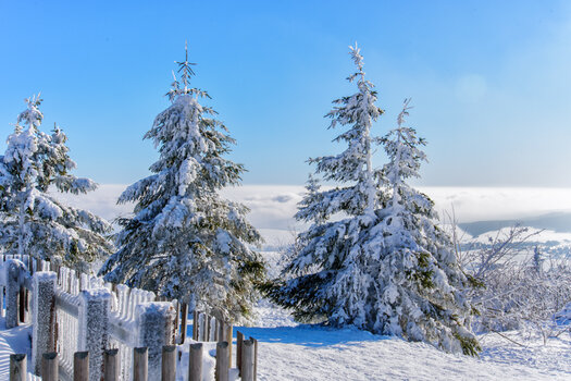 750_1752-Bearbeitet-Bearbeitet.jpg