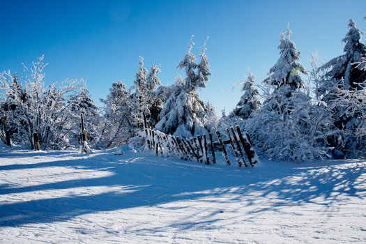 750_1787-Bearbeitet-2.jpg