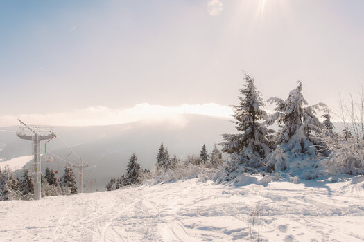 750_1818-Bearbeitet.jpg